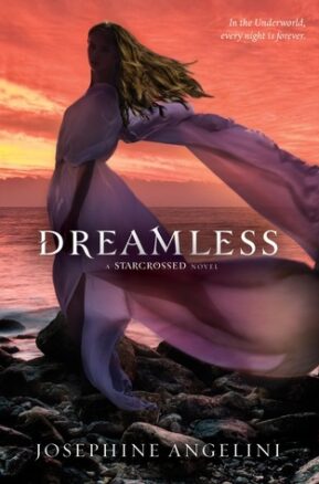 Book Summary Dreamless