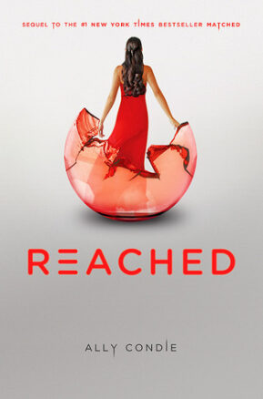 Book Summary Reached