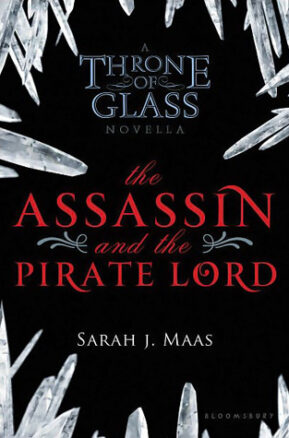 Book Summary The Assassin and the Pirate Lord