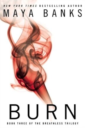 Book Summary Burn