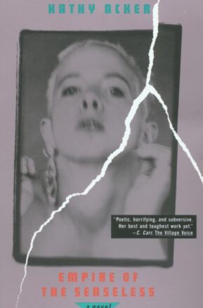 Book Summary Empire of the Senseless