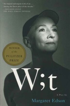 Book Summary Wit