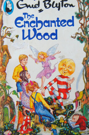 Book Summary The Enchanted Wood