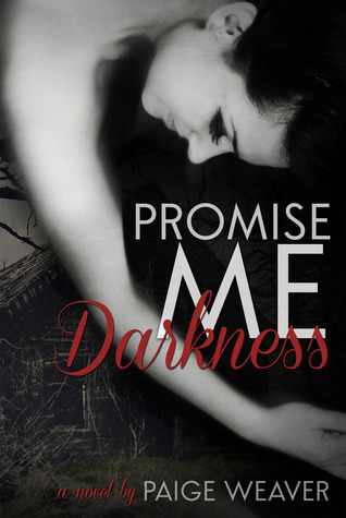 Book Summary Promise Me Darkness