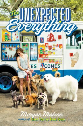 Book Summary The Unexpected Everything