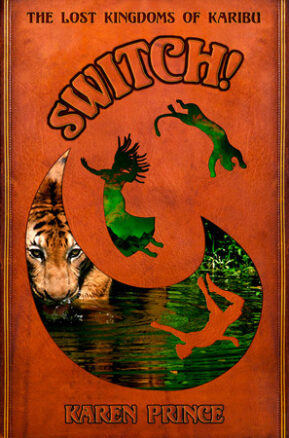 Book Summary Switch! The Lost Kingdoms of Karibu