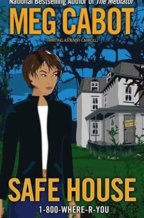 Book Summary Safe House