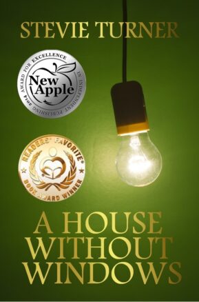 Book Summary A House Without Windows