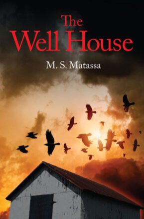 Book Summary The Well House