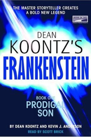 Book Summary Prodigal Son