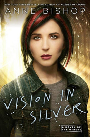 Book Summary Vision in Silver