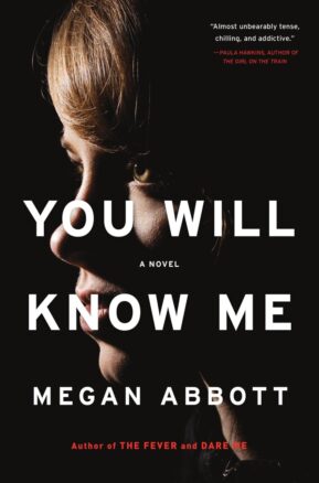 Book Summary You Will Know Me