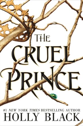 Book Summary The Cruel Prince