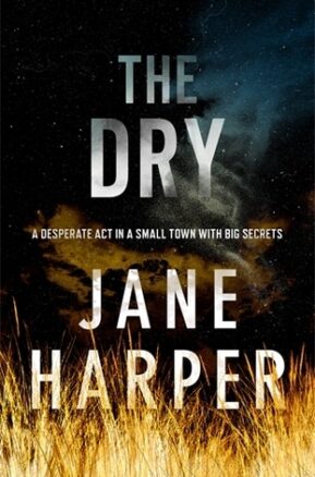 Book Summary The Dry