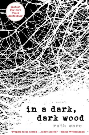 Book Summary In a Dark, Dark Wood