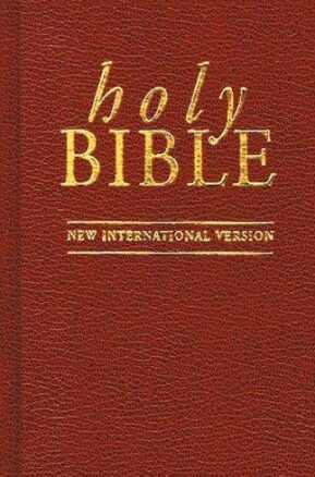 Book Summary Holy Bible: New International Version
