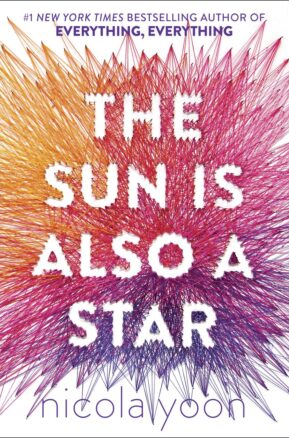 Book Summary The Sun Is Also a Star