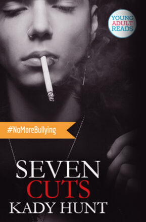 Book Summary Seven Cuts