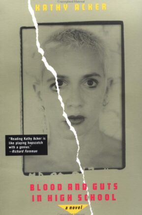 Book Summary Blood and Guts in High School