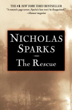 Book Summary The Rescue