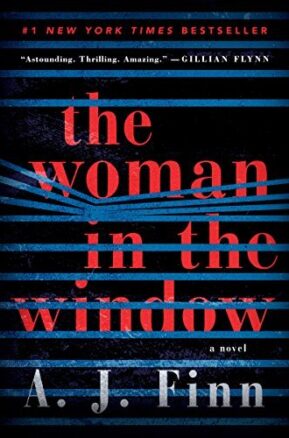 Book Summary The Woman in the Window