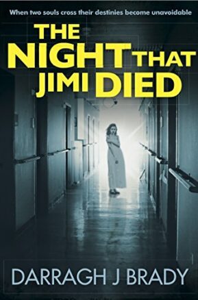 Book Summary Night That Jimi Died