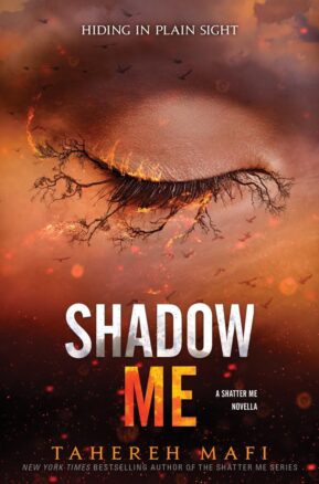 Book Summary Shadow Me