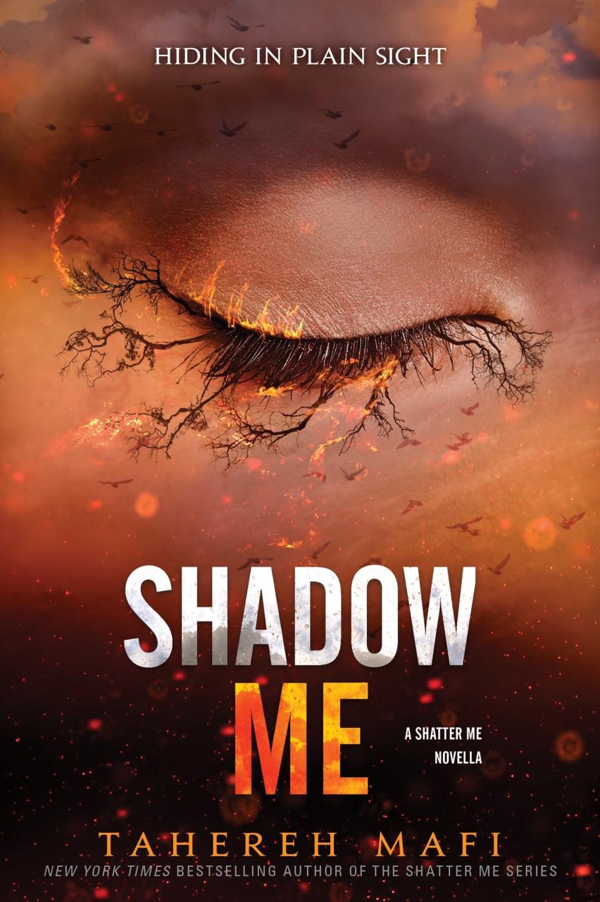 Book Summary Shadow Me