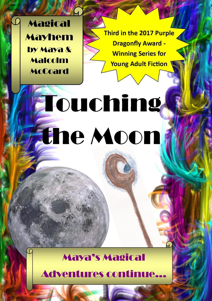 Book Summary Touching the moon