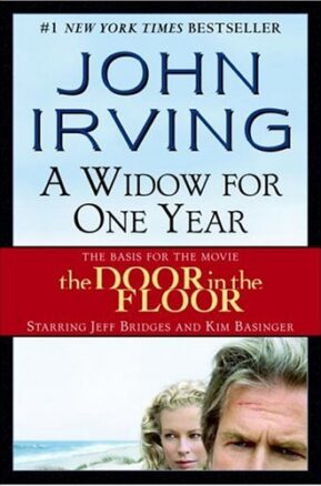 Book Summary A Widow for One Year