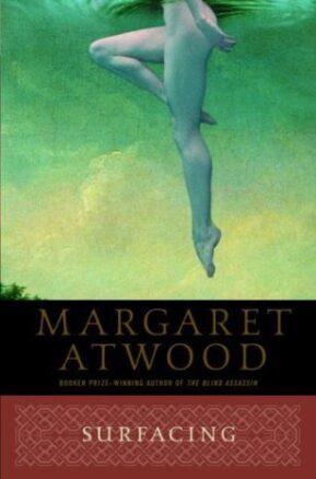 Book Summary Surfacing