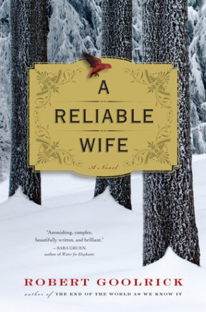 Book Summary A Reliable Wife