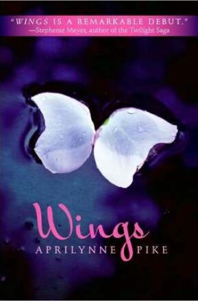 Book Summary Wings
