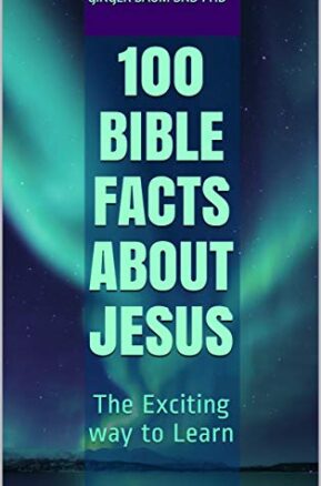 Book Summary 100 Bible Facts About Jesus: The Exciting way to Learn