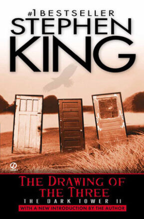 Book Summary The Drawing of the Three