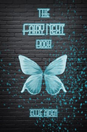 Book Summary The Fairy Next Book