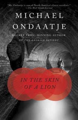 Book Summary In the Skin of a Lion
