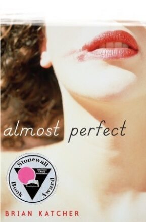 Book Summary Almost Perfect