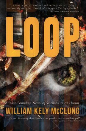 Book Summary LOOP