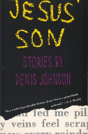 Book Summary Jesus’ Son