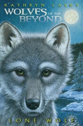 Book Summary Lone Wolf