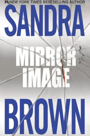 Book Summary Mirror Image