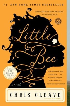 Book Summary Little Bee