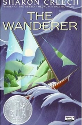 Book Summary The Wanderer