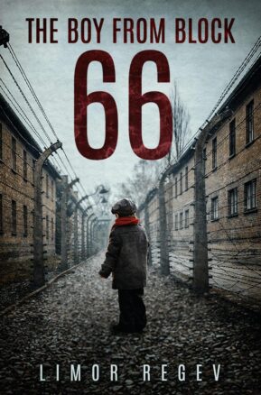 Book Summary The Boy From Block 66: A WW2 Jewish Holocaust Survival True Story