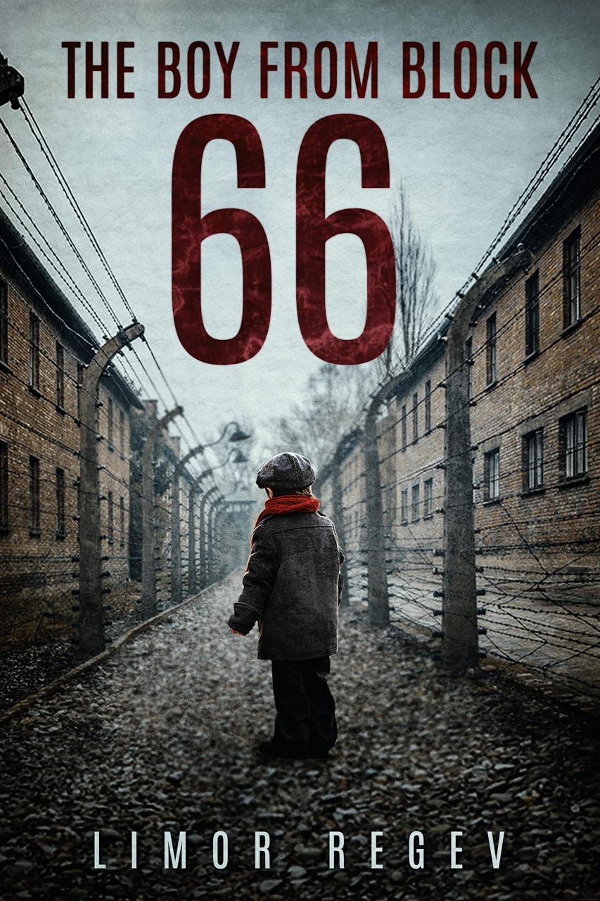Book Summary The Boy From Block 66: A WW2 Jewish Holocaust Survival True Story