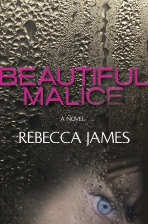 Book Summary Beautiful Malice