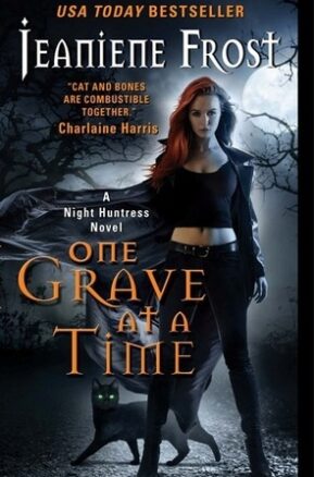 Book Summary One Grave at a Time
