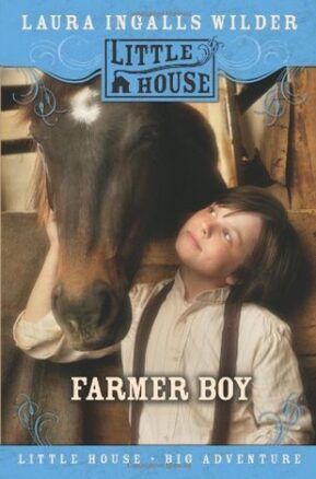 Book Summary Farmer Boy