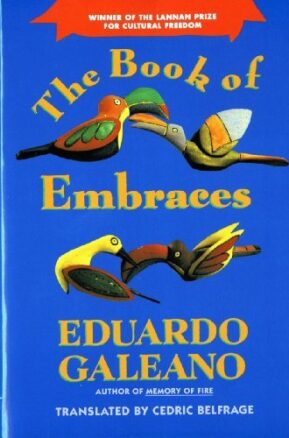 Book Summary The Book of Embraces